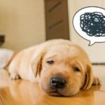 【マインドセット】人生がうまくいかないときの対処法