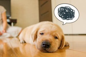 【マインドセット】人生がうまくいかないときの対処法